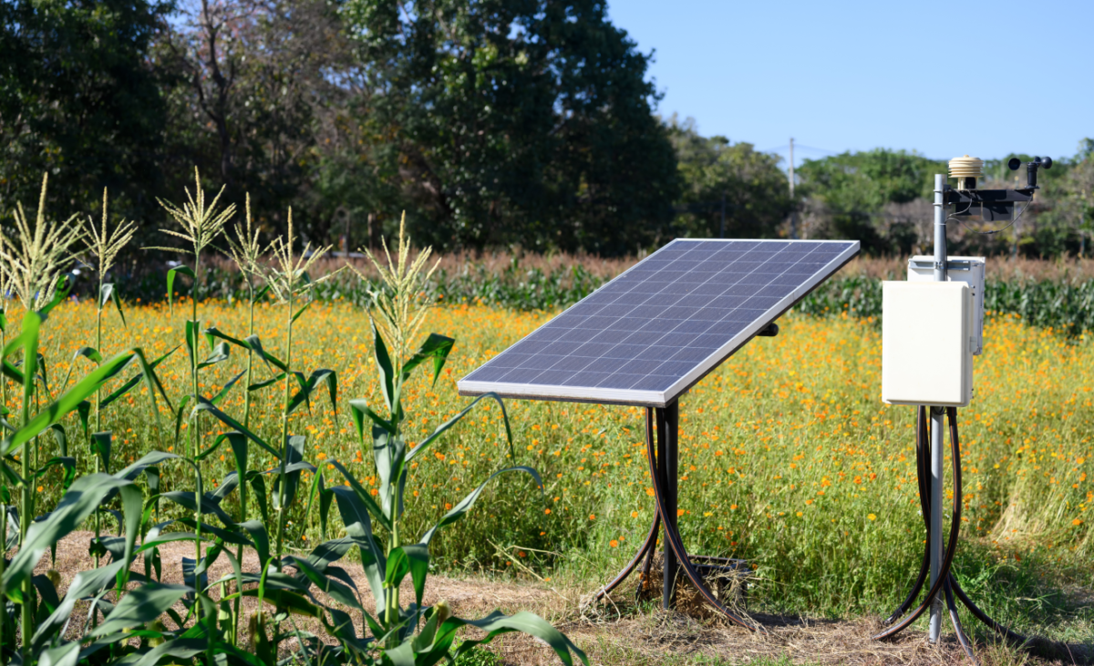 Solar Water Pump Solutions