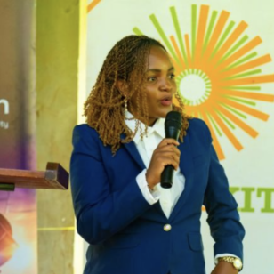 Screenshot 2026-03-26 at 13.46.48